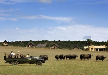 Gorah Elephant Camp in Addo Elephant Park, Eastern Cape