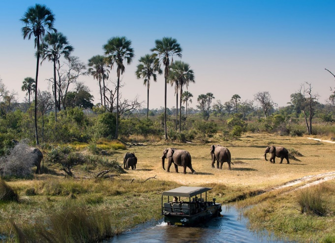 Okavango Delta Safari, Okavango Botswana Safari