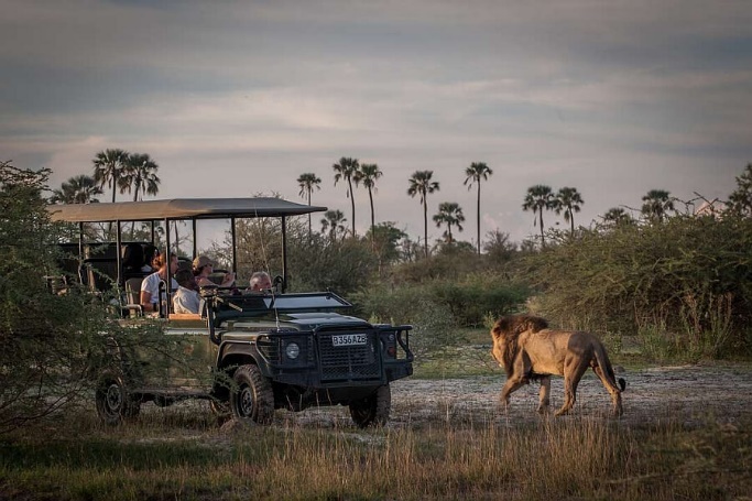 Okavango Delta with Children | Botswana Family Safaris | Safari Online