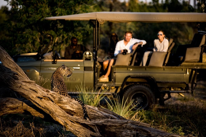 Our guide to the top things to do in Botswana - Timbuktu