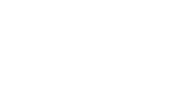 Travel Story Logo